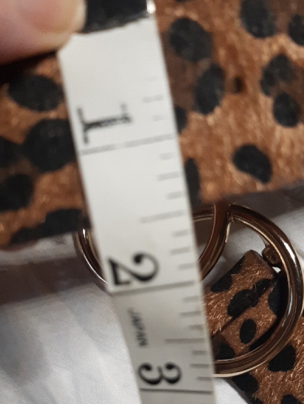 Leopard Print Belt - Picture 4 of 6